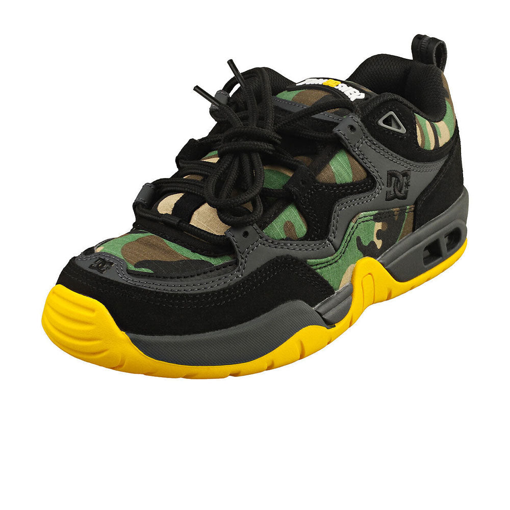 DC Truth Thrasher Shoes