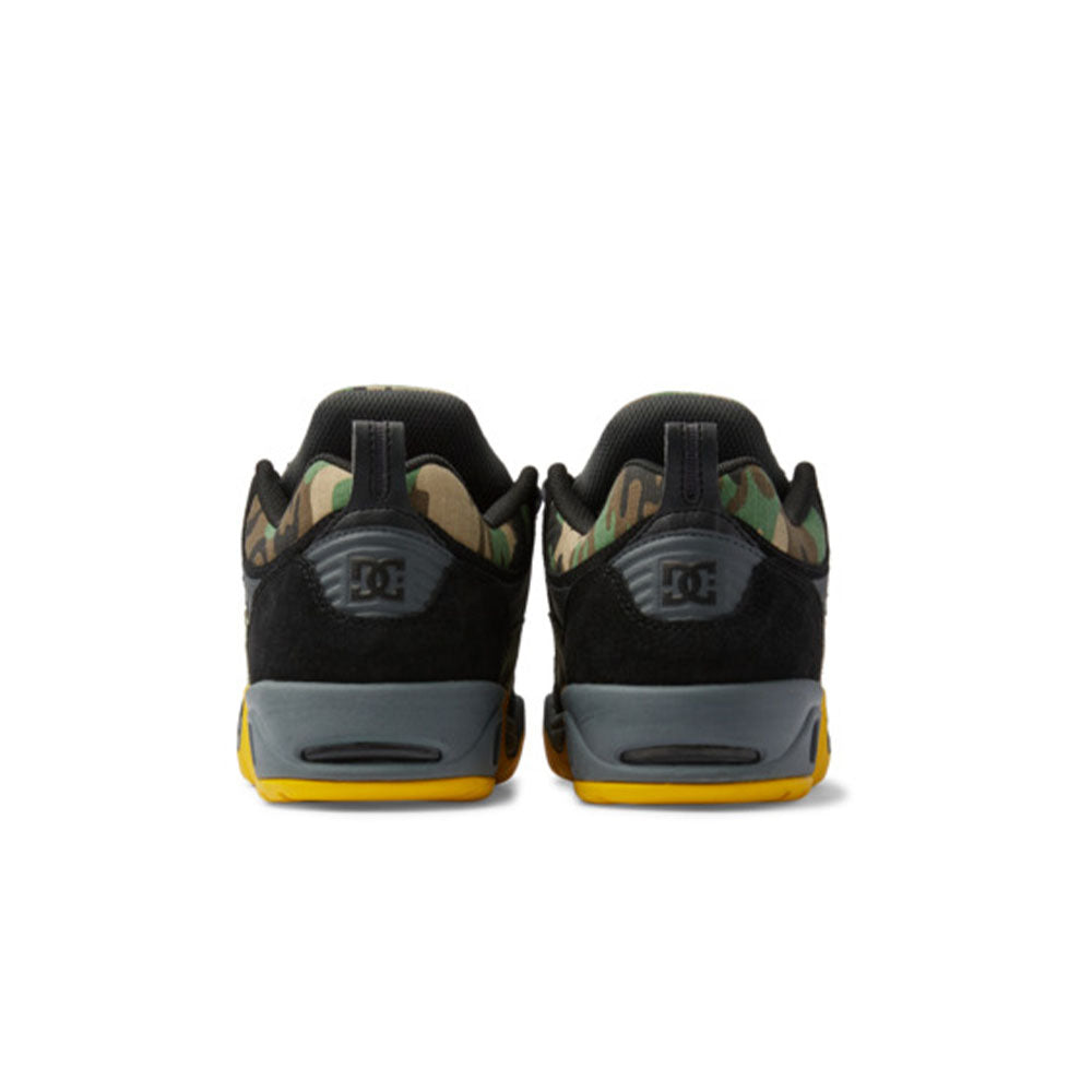 DC Truth Thrasher Shoes